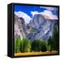 Yosemite National Park, California. Half Dome Peak.-Dancestrokes-Framed Stretched Canvas