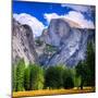 Yosemite National Park, California. Half Dome Peak.-Dancestrokes-Mounted Photographic Print