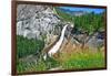 Yosemite National Park, California - Nevada Falls-Lantern Press-Framed Art Print