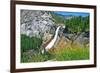 Yosemite National Park, California - Nevada Falls-Lantern Press-Framed Art Print