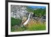 Yosemite National Park, California - Nevada Falls-Lantern Press-Framed Art Print