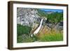 Yosemite National Park, California - Nevada Falls-Lantern Press-Framed Art Print