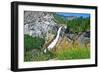 Yosemite National Park, California - Nevada Falls-Lantern Press-Framed Art Print