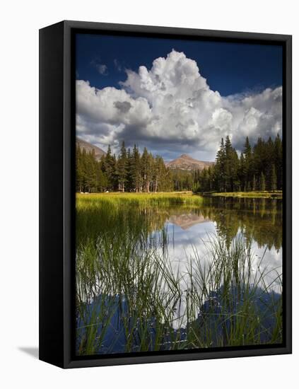 Yosemite National Park, California: Pond Along Entrance Gate at Tioga Pass and Tuolumne Meadows.-Ian Shive-Framed Stretched Canvas