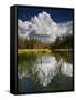 Yosemite National Park, California: Pond Along Entrance Gate at Tioga Pass and Tuolumne Meadows.-Ian Shive-Framed Stretched Canvas