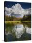 Yosemite National Park, California: Pond Along Entrance Gate at Tioga Pass and Tuolumne Meadows.-Ian Shive-Stretched Canvas