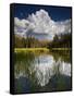 Yosemite National Park, California: Pond Along Entrance Gate at Tioga Pass and Tuolumne Meadows.-Ian Shive-Framed Stretched Canvas