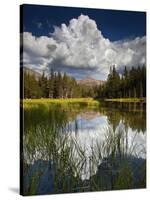 Yosemite National Park, California: Pond Along Entrance Gate at Tioga Pass and Tuolumne Meadows.-Ian Shive-Stretched Canvas