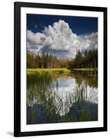 Yosemite National Park, California: Pond Along Entrance Gate at Tioga Pass and Tuolumne Meadows.-Ian Shive-Framed Photographic Print