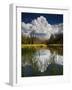 Yosemite National Park, California: Pond Along Entrance Gate at Tioga Pass and Tuolumne Meadows.-Ian Shive-Framed Photographic Print