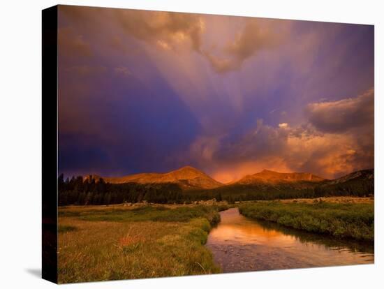 Yosemite National Park, California: Storm Clouds Cast Unusual Colors over the Tuolomne Creek-Ian Shive-Stretched Canvas