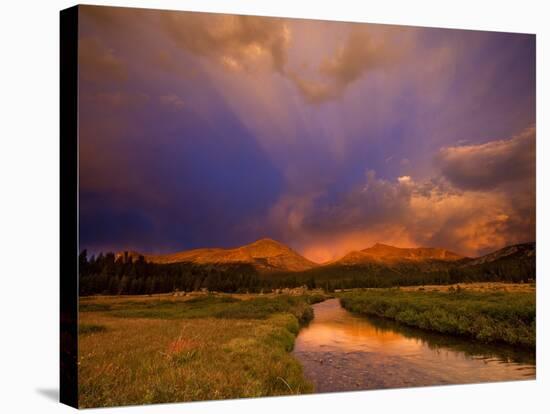 Yosemite National Park, California: Storm Clouds Cast Unusual Colors over the Tuolomne Creek-Ian Shive-Stretched Canvas