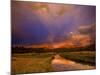 Yosemite National Park, California: Storm Clouds Cast Unusual Colors over the Tuolomne Creek-Ian Shive-Mounted Photographic Print