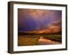 Yosemite National Park, California: Storm Clouds Cast Unusual Colors over the Tuolomne Creek-Ian Shive-Framed Photographic Print