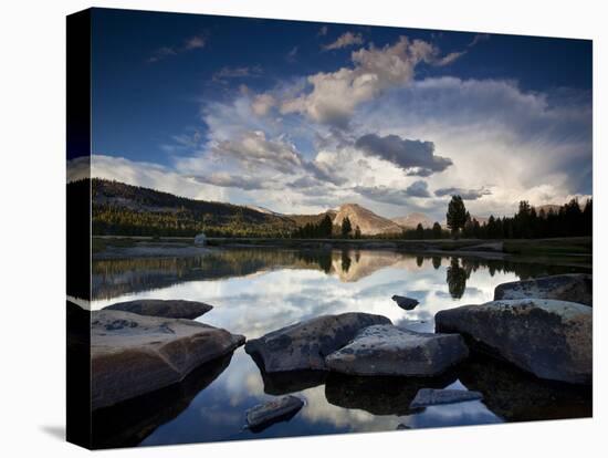 Yosemite National Park, California: Sunset Light on Tuolumne River and Meadows-Ian Shive-Stretched Canvas