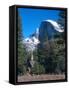 Yosemite National Park, California, USA-John Alves-Framed Stretched Canvas