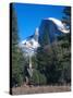Yosemite National Park, California, USA-John Alves-Stretched Canvas