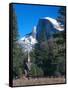 Yosemite National Park, California, USA-John Alves-Framed Stretched Canvas