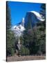 Yosemite National Park, California, USA-John Alves-Stretched Canvas