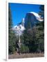 Yosemite National Park, California, USA-John Alves-Framed Photographic Print