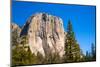 Yosemite National Park El Capitan California USA-holbox-Mounted Photographic Print