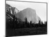 Yosemite National Park, El Capitan Photograph - Yosemite, CA-Lantern Press-Mounted Art Print