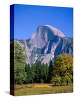 Yosemite National Park, Half Dome and Autumn Leaves, California, USA-Steve Vidler-Stretched Canvas