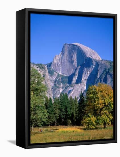 Yosemite National Park, Half Dome and Autumn Leaves, California, USA-Steve Vidler-Framed Stretched Canvas