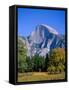 Yosemite National Park, Half Dome and Autumn Leaves, California, USA-Steve Vidler-Framed Stretched Canvas