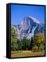 Yosemite National Park, Half Dome and Autumn Leaves, California, USA-Steve Vidler-Framed Stretched Canvas