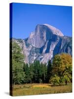 Yosemite National Park, Half Dome and Autumn Leaves, California, USA-Steve Vidler-Stretched Canvas