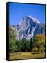 Yosemite National Park, Half Dome and Autumn Leaves, California, USA-Steve Vidler-Framed Stretched Canvas