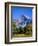 Yosemite National Park, Half Dome and Autumn Leaves, California, USA-Steve Vidler-Framed Photographic Print