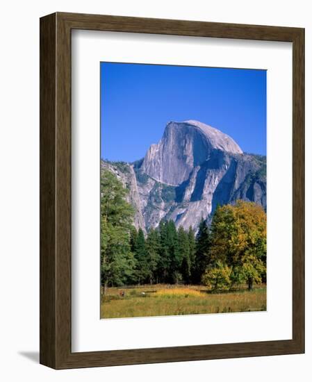 Yosemite National Park, Half Dome and Autumn Leaves, California, USA-Steve Vidler-Framed Photographic Print