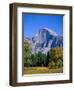 Yosemite National Park, Half Dome and Autumn Leaves, California, USA-Steve Vidler-Framed Photographic Print