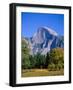 Yosemite National Park, Half Dome and Autumn Leaves, California, USA-Steve Vidler-Framed Photographic Print