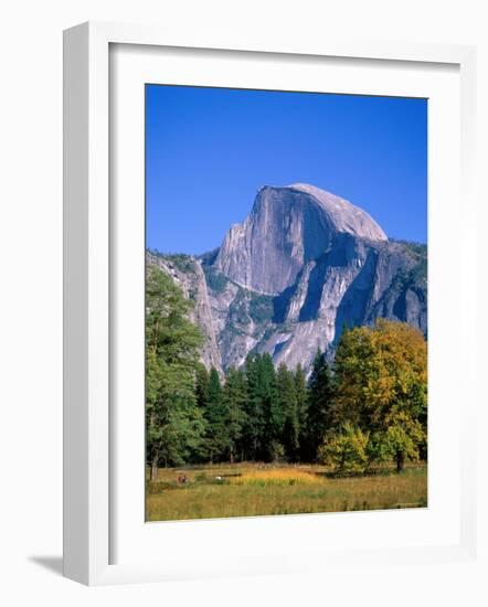 Yosemite National Park, Half Dome and Autumn Leaves, California, USA-Steve Vidler-Framed Photographic Print