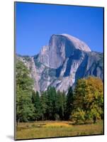 Yosemite National Park, Half Dome and Autumn Leaves, California, USA-Steve Vidler-Mounted Photographic Print