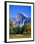 Yosemite National Park, Half Dome and Autumn Leaves, California, USA-Steve Vidler-Framed Photographic Print