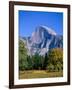 Yosemite National Park, Half Dome and Autumn Leaves, California, USA-Steve Vidler-Framed Photographic Print