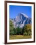 Yosemite National Park, Half Dome and Autumn Leaves, California, USA-Steve Vidler-Framed Photographic Print