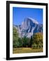 Yosemite National Park, Half Dome and Autumn Leaves, California, USA-Steve Vidler-Framed Photographic Print