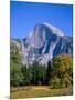 Yosemite National Park, Half Dome and Autumn Leaves, California, USA-Steve Vidler-Mounted Photographic Print