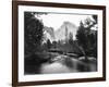 Yosemite National Park, Valley Floor and Half Dome Photograph - Yosemite, CA-Lantern Press-Framed Art Print