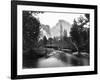 Yosemite National Park, Valley Floor and Half Dome Photograph - Yosemite, CA-Lantern Press-Framed Art Print