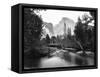 Yosemite National Park, Valley Floor and Half Dome Photograph - Yosemite, CA-Lantern Press-Framed Stretched Canvas