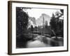 Yosemite National Park, Valley Floor and Half Dome Photograph - Yosemite, CA-Lantern Press-Framed Art Print