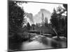 Yosemite National Park, Valley Floor and Half Dome Photograph - Yosemite, CA-Lantern Press-Mounted Art Print