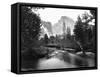 Yosemite National Park, Valley Floor and Half Dome Photograph - Yosemite, CA-Lantern Press-Framed Stretched Canvas