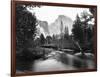 Yosemite National Park, Valley Floor and Half Dome Photograph - Yosemite, CA-Lantern Press-Framed Art Print